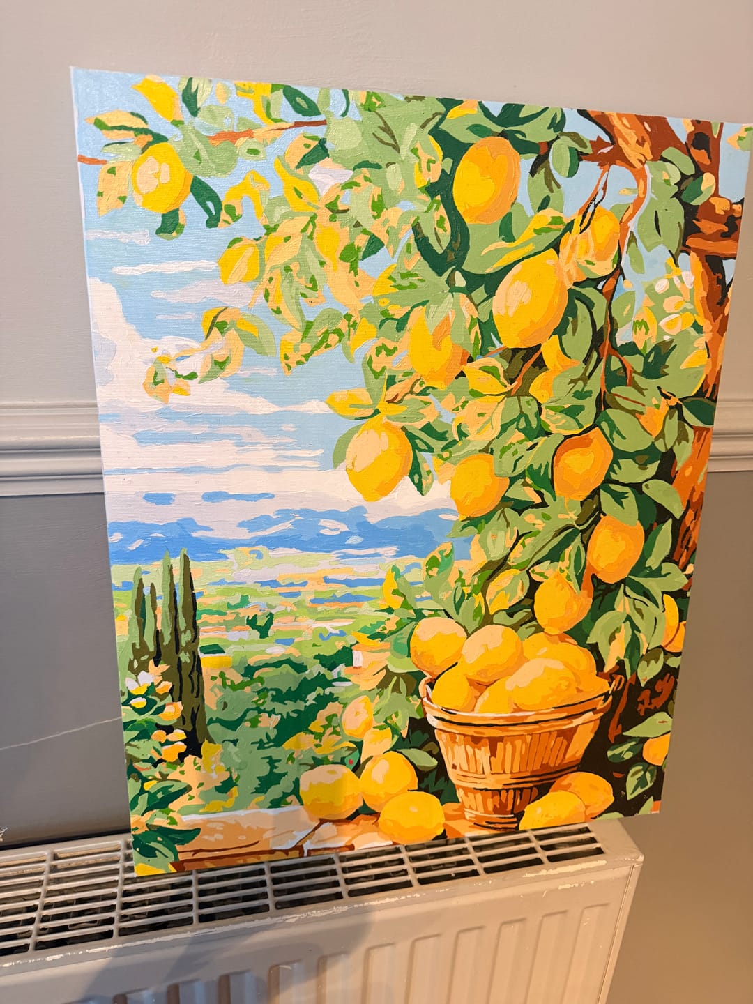 Customer photo review of Bounty Lemons