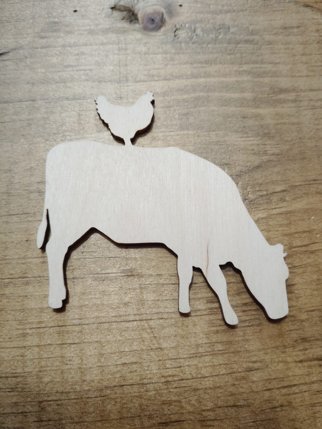 Customer photo review of Unfinished Wood Cow Chicken Shape - Craft - up to 46" DIY