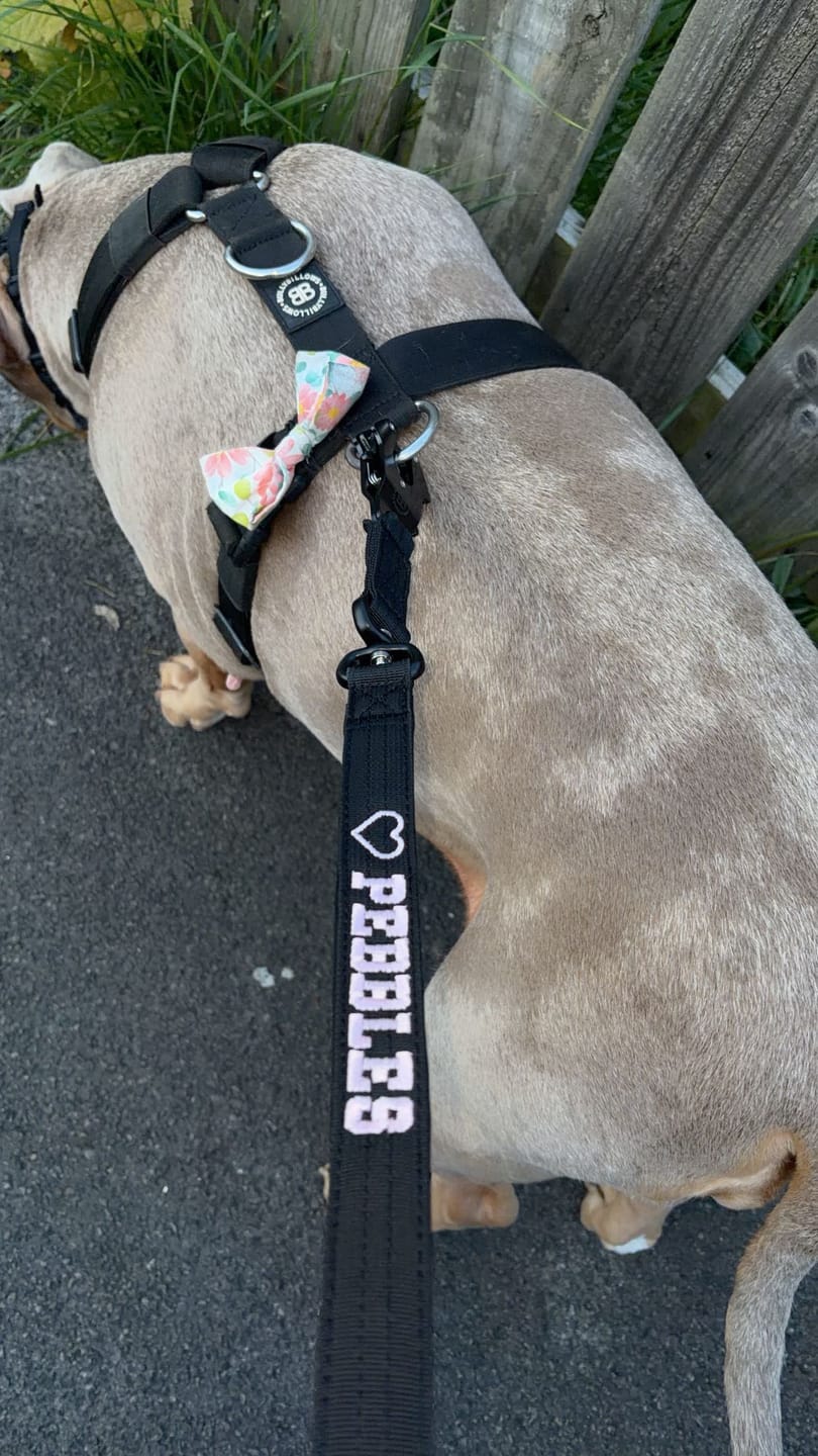 Customer photo review of Personalisation Fee £4.99