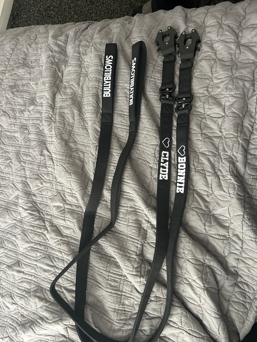 Customer photo review of 1.4m Swivel Combat Lead | Anti-Tangle & Secure Clip - Black