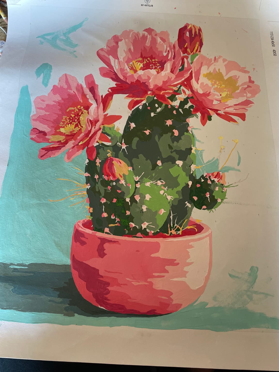 Customer photo review of Blooming cactus | Paint by Number