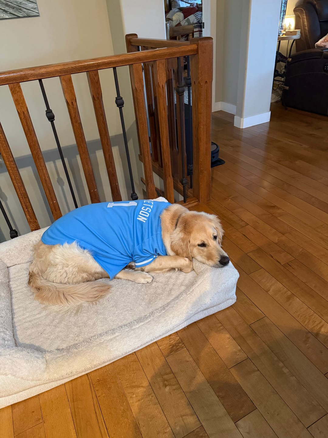 Customer photo review of Custom Light Blue White Classic Style Dog Jersey