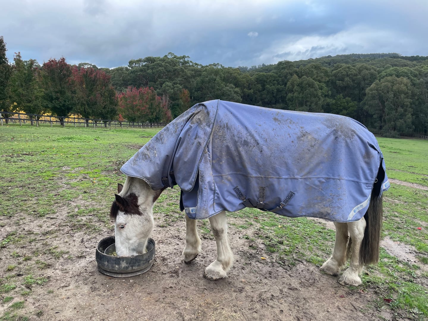Customer photo review of LE Boxter Turnout Ripstop 50g