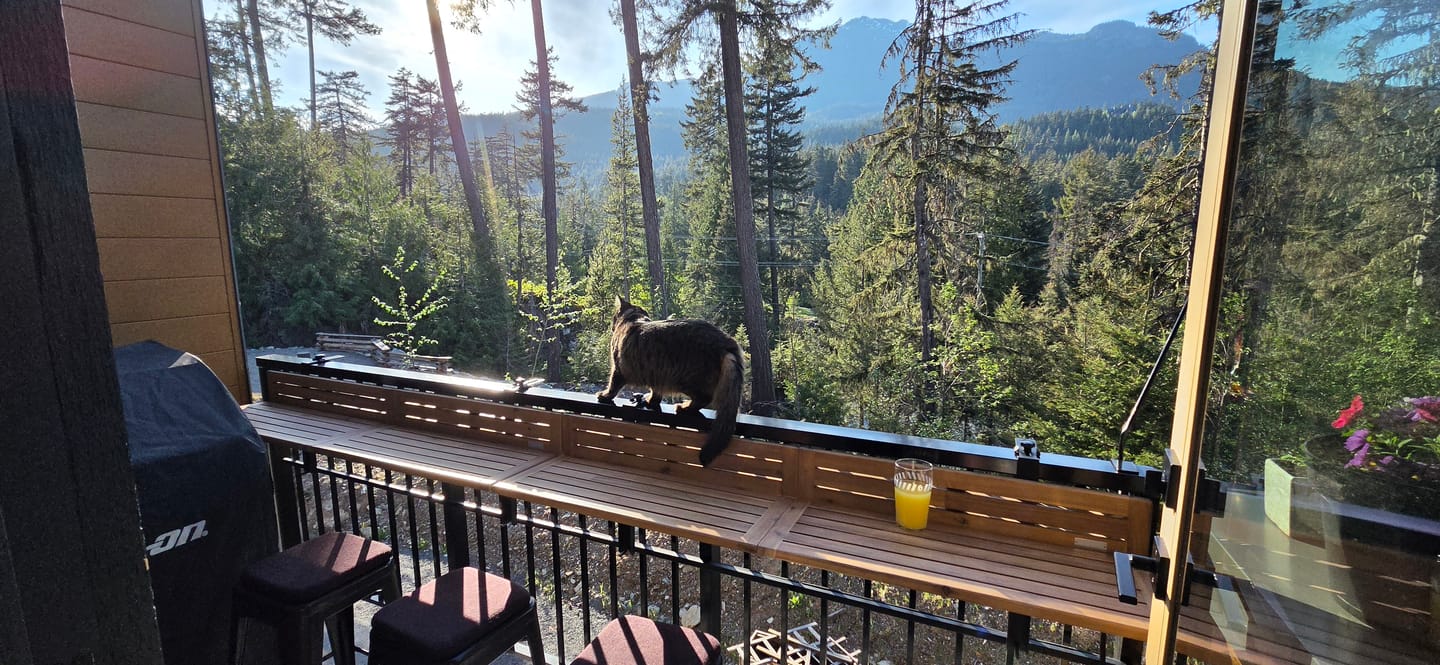 Customer photo review of Views Balcony™ Bar 2.0 (5ft)