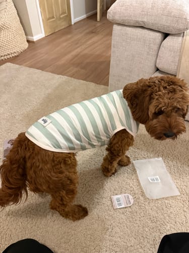 Customer photo review of Matcha Stripe | Summer Breeze Cooling Vest