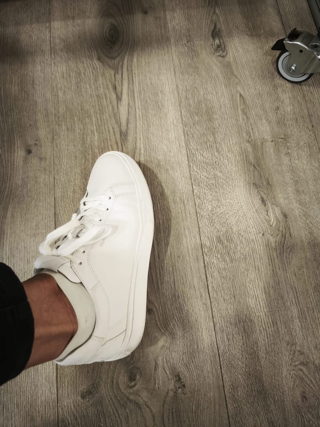 Customer photo review of Sapatilhas Gant Homem Mc Julien Branca