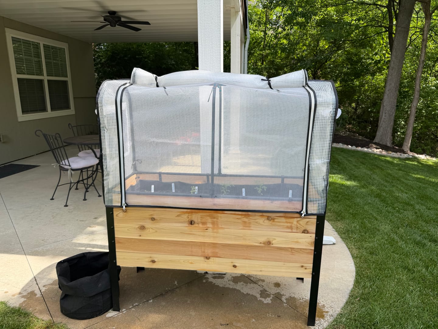 Customer photo review of Greenhouse Cover