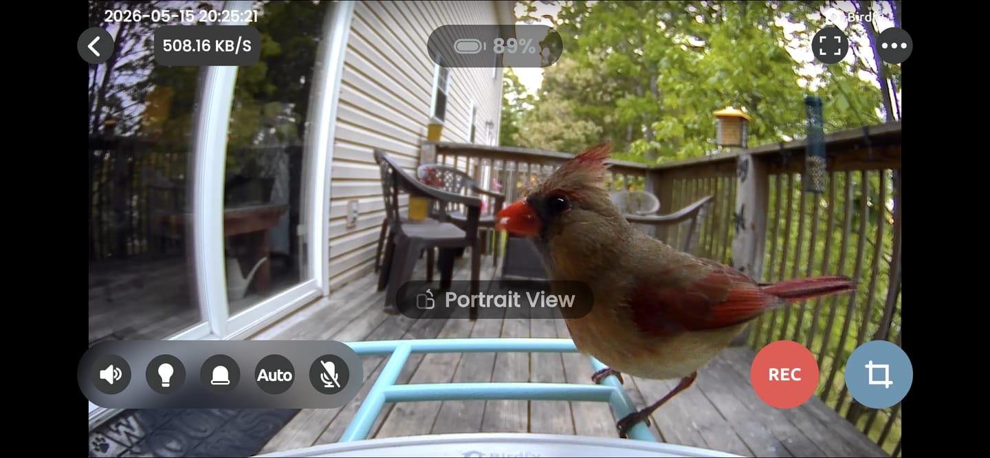 Customer photo review of Birdfy Cam - Versatile Standalone Backyard Birdwatching Camera
