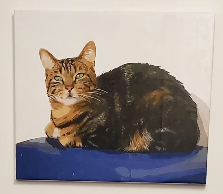 Customer photo review of Custom Paint By Numbers - Personalized Pet Portraits