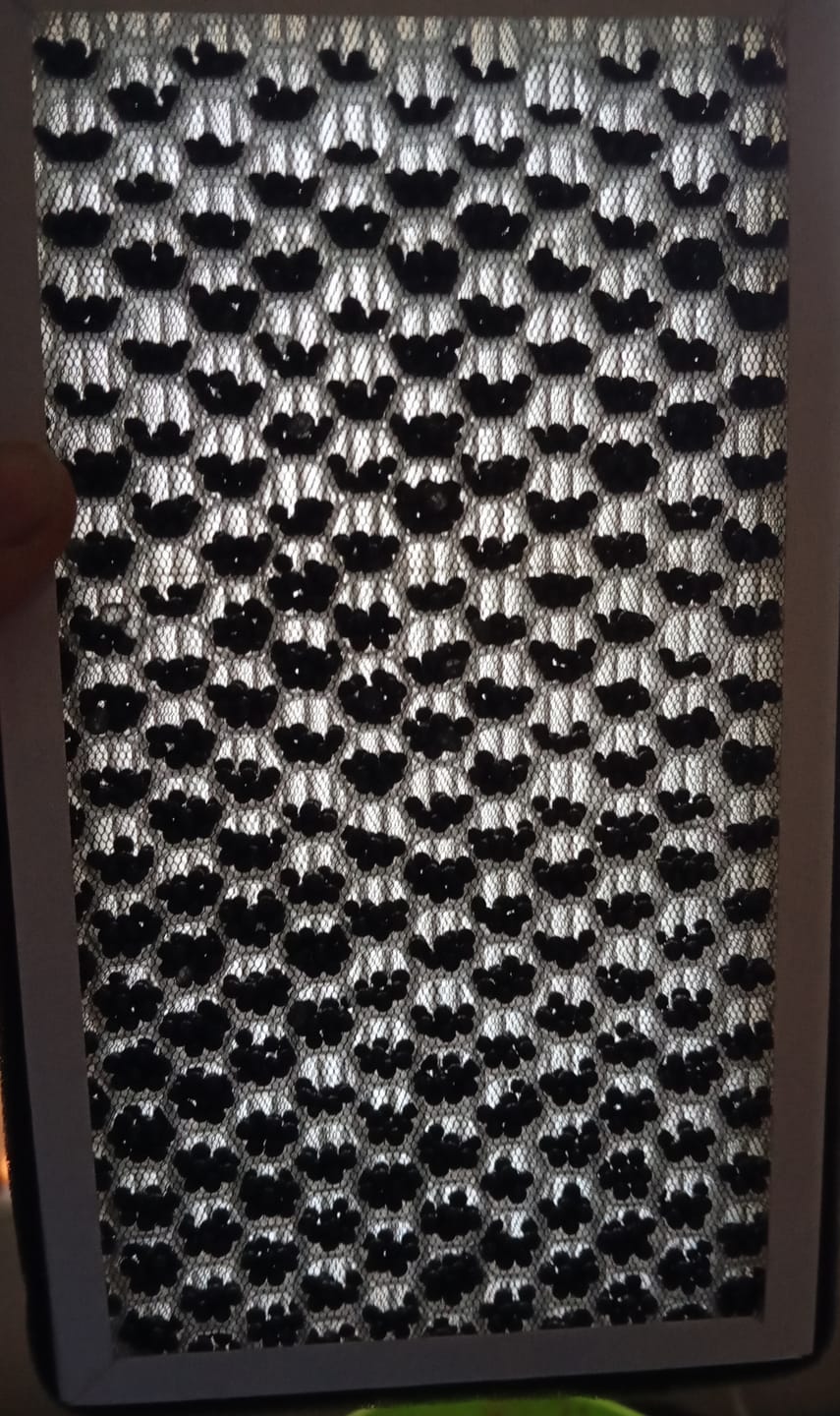 Customer photo review of EVAAM® HEPA Air Filter With Activated Carbon for Model 3/Y Accessories (2Pcs)
