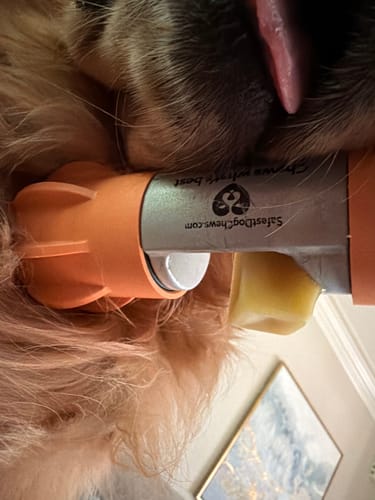 Close-up of a reviewer's dog chewing on a Long-Lasting Yak Chew inside a bright orange holder.