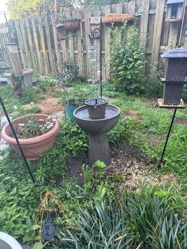 Customer photo review of Alba Cordless Fountain