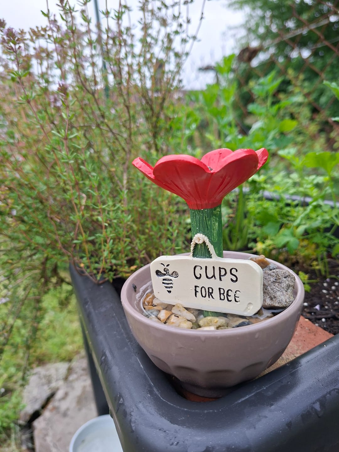 Customer photo review of La Pause des Abeilles®