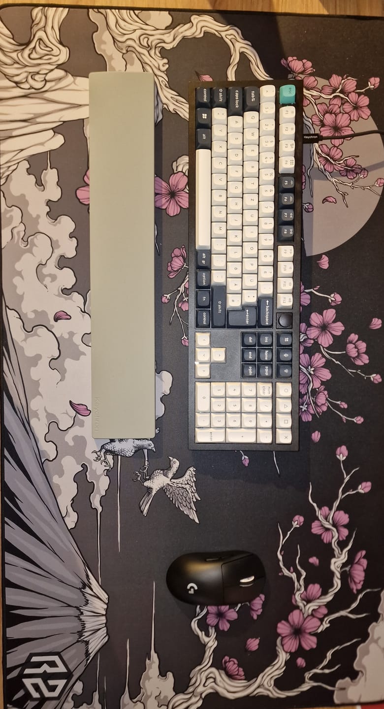 Customer photo review of RZ Mousepad Sakura Black - Speed