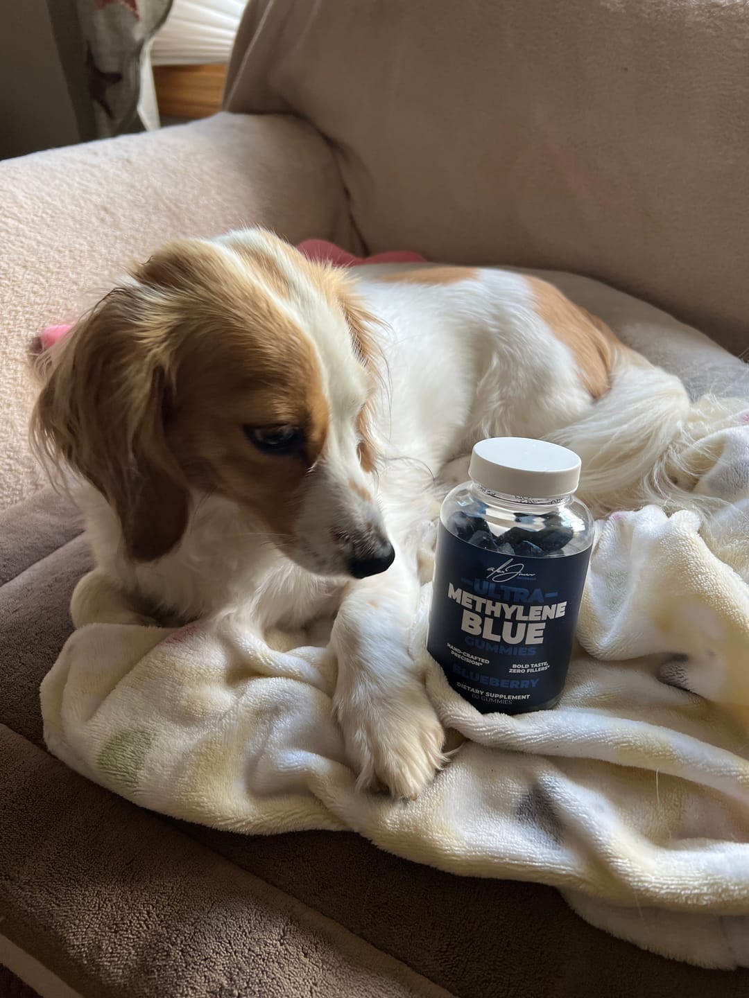 Customer photo review of Ultra Methylene Blue Gummies (60 Gummies)