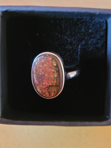 Photo d'un client montrant la Bague Ammolite avec sa pierre ovale et irisée, dans son écrin noir.
