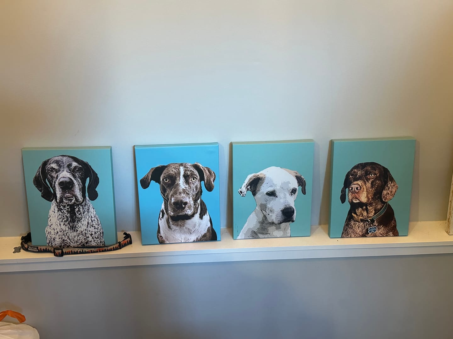 Customer photo review of Custom Pet Art Canvas Wrap