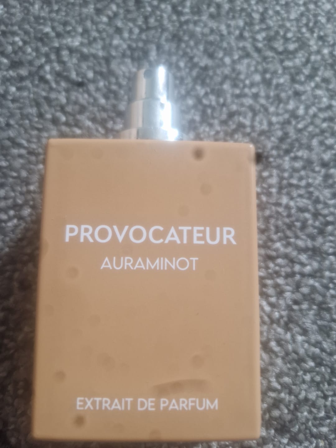 Customer photo review of PROVOCATEUR