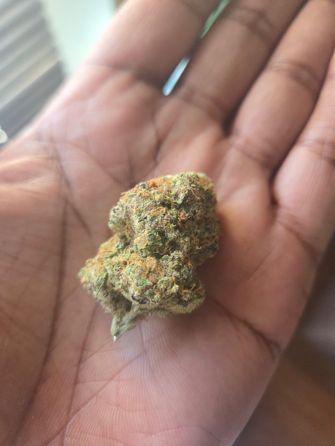 Customer photo review of Blueberry Syrup - 28 Grams - Indica