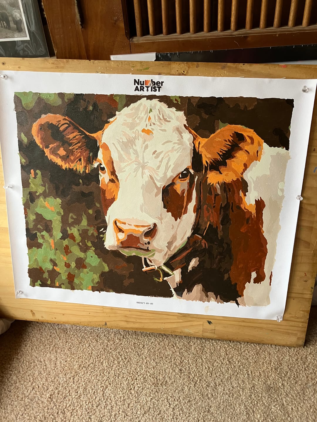 Customer photo review of Cattle Portrait