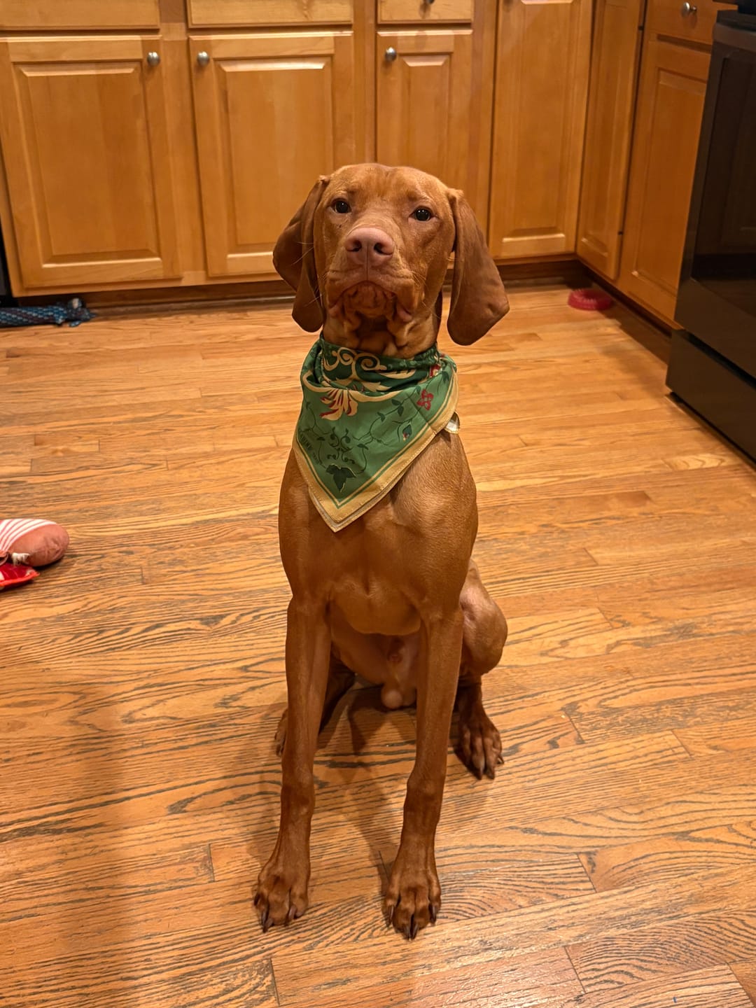 Customer photo review of Rose Bandana