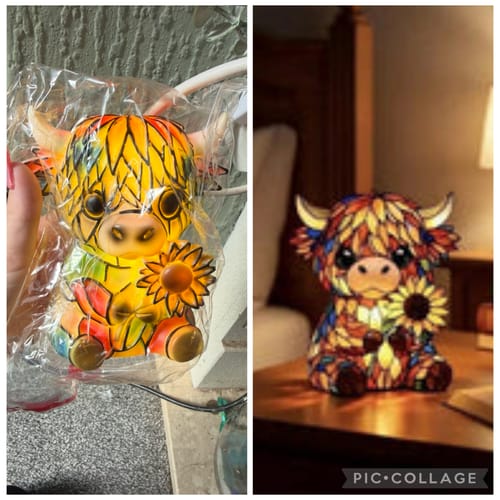 Reviewer's photo comparing the Highland Cow LED Night Light received in packaging with the advertised product image.
