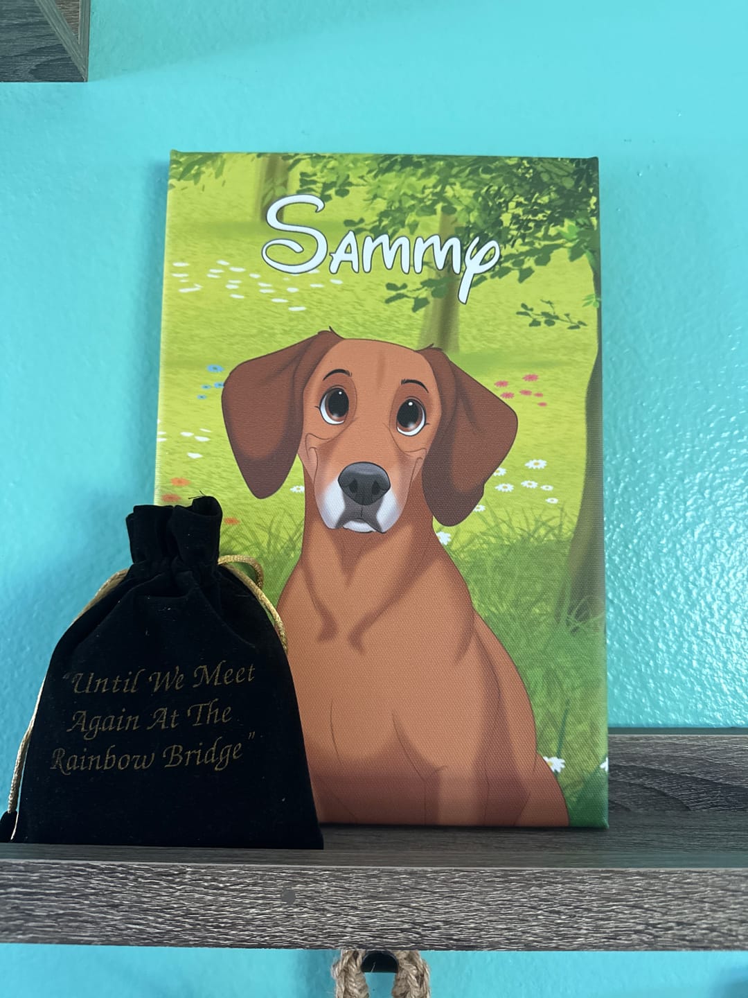 Customer photo review of Custom Hand-Drawn Cartoon Pet Portrait