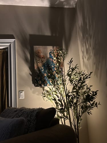 Customer photo review of Enchanted Peacock No2 Print