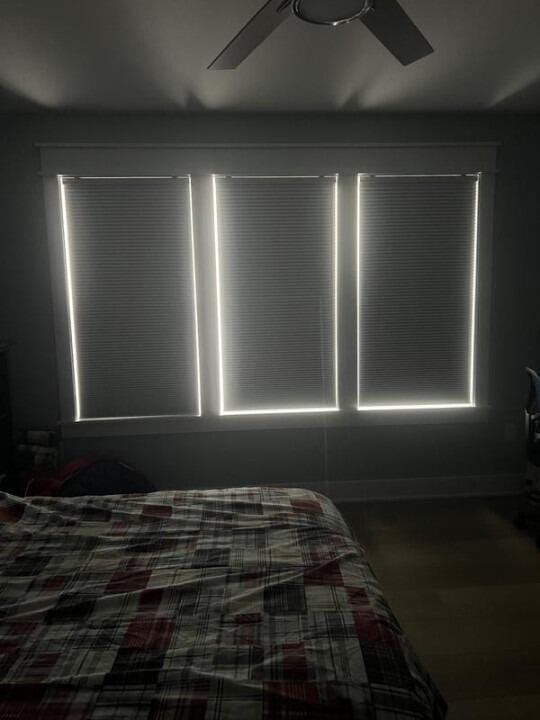 Customer photo review of Motorized Blackout Cellular Shades Hex