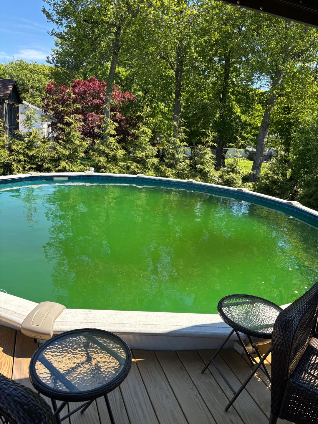 Customer photo review of Frog Leap Wake Up Kit / Hibernation Kit