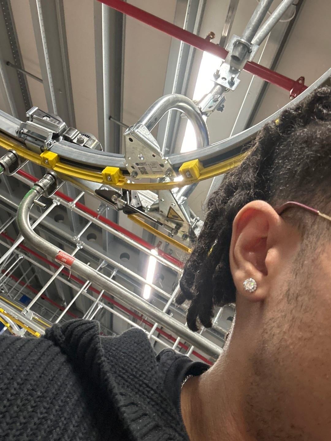 Customer photo review of S925 Sphere Earrings