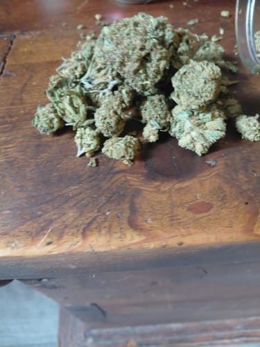 Customer photo review of Cheap THCA Flower Pound (450g)