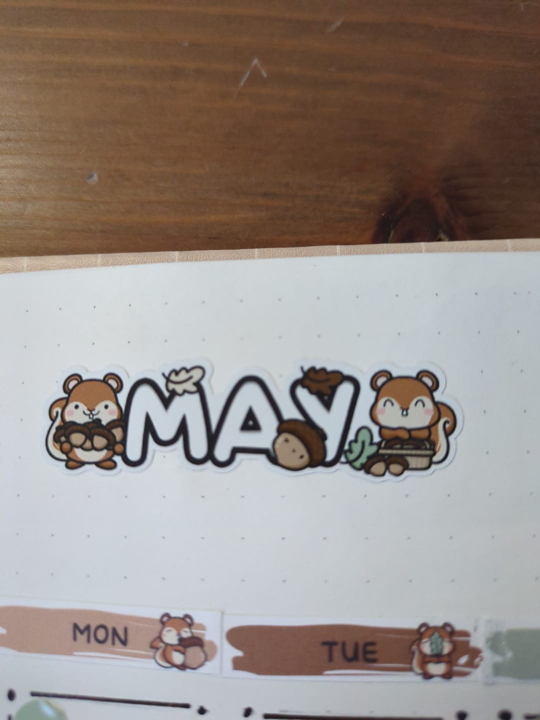 Customer photo review of Squirrelly Acorn - Months Planner Stickers