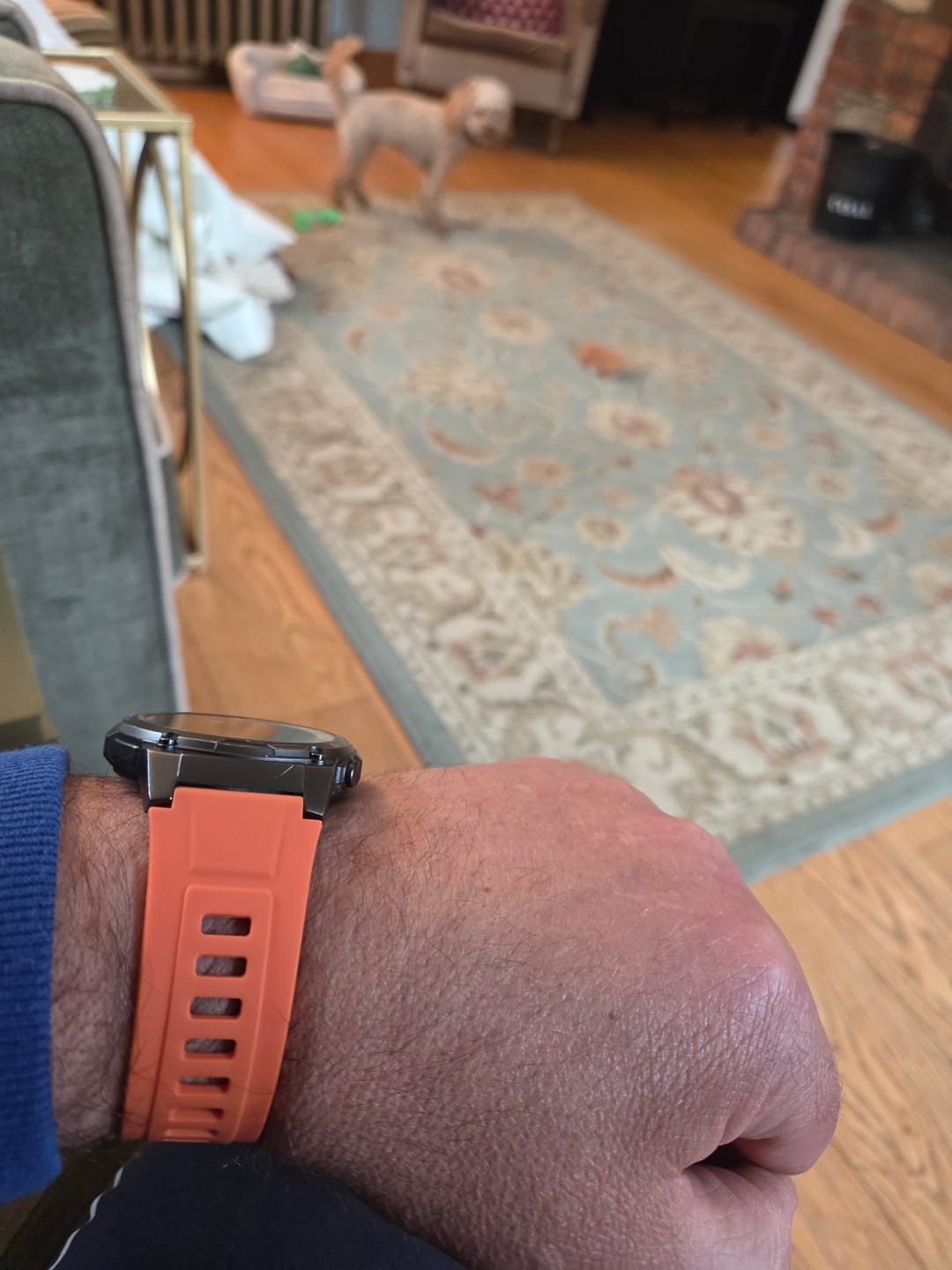 Customer photo review of Orange Ultra Series Loop
