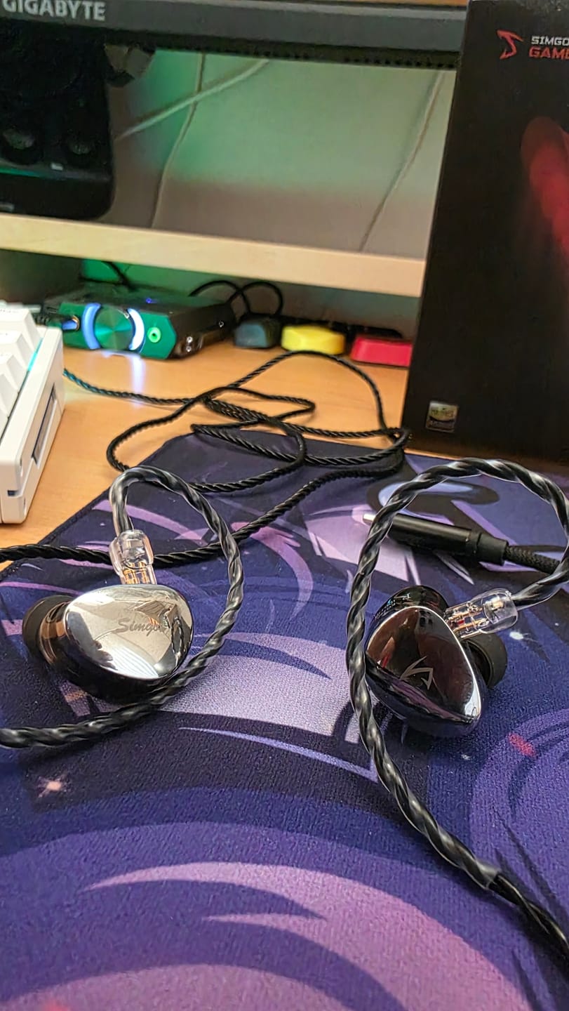 Customer photo review of SIMGOT EG280 IEM Kulaklık
