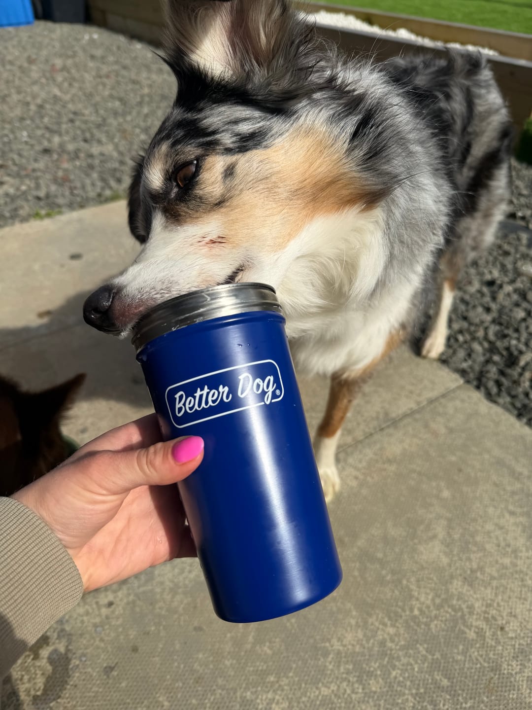 Customer photo review of Better Hydration Metal Shaker