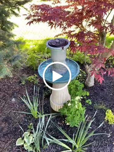 Customer video review of Two Button Fountain Pump and Battery Compartment - no connection port