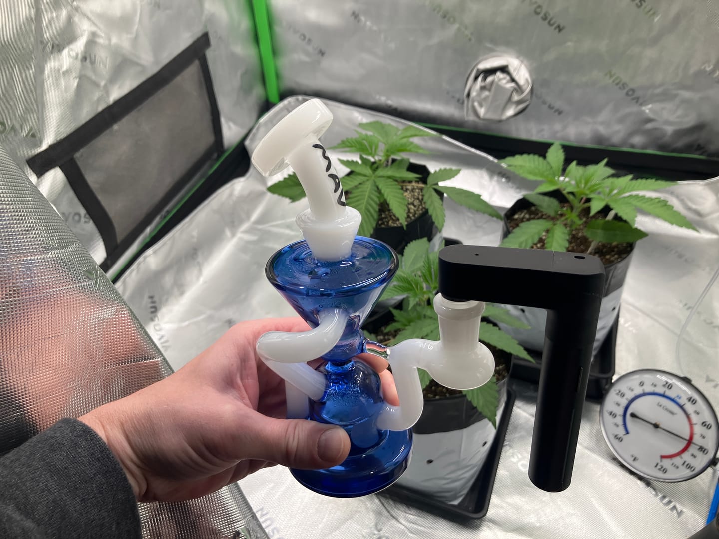 Customer photo review of The Humboldt Mini