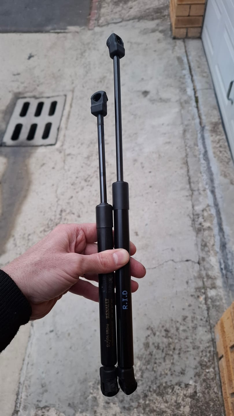 Customer photo review of Renault Kwid BOOT/TAILGATE SHOCK (sold as singles)