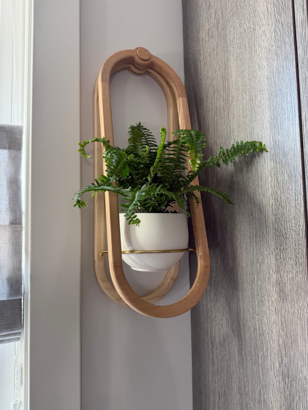 Customer photo review of Frame Wall Planter + Pot Duo