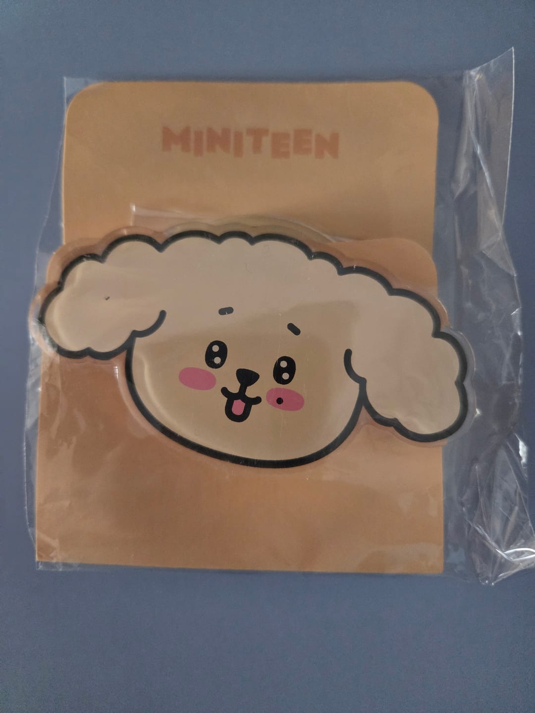 Customer photo review of SEVENTEEN - MINITEEN GLOBAL POP-UP MD SMART TOK