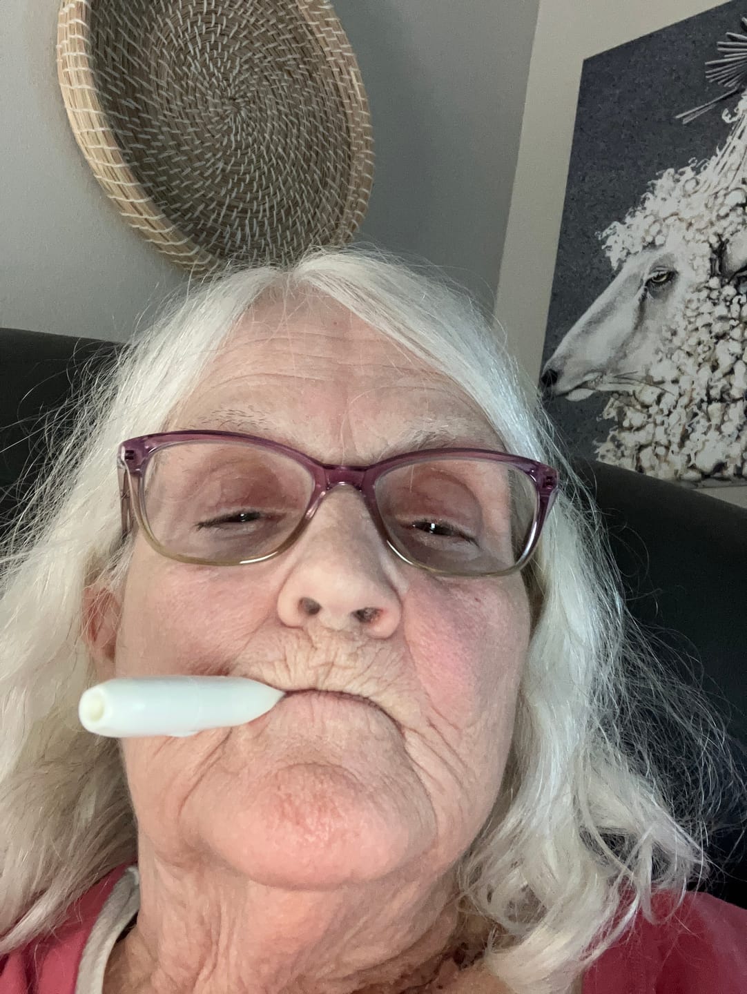 Customer photo review of Nicorette Inhalator 15mg 36 Cartridges