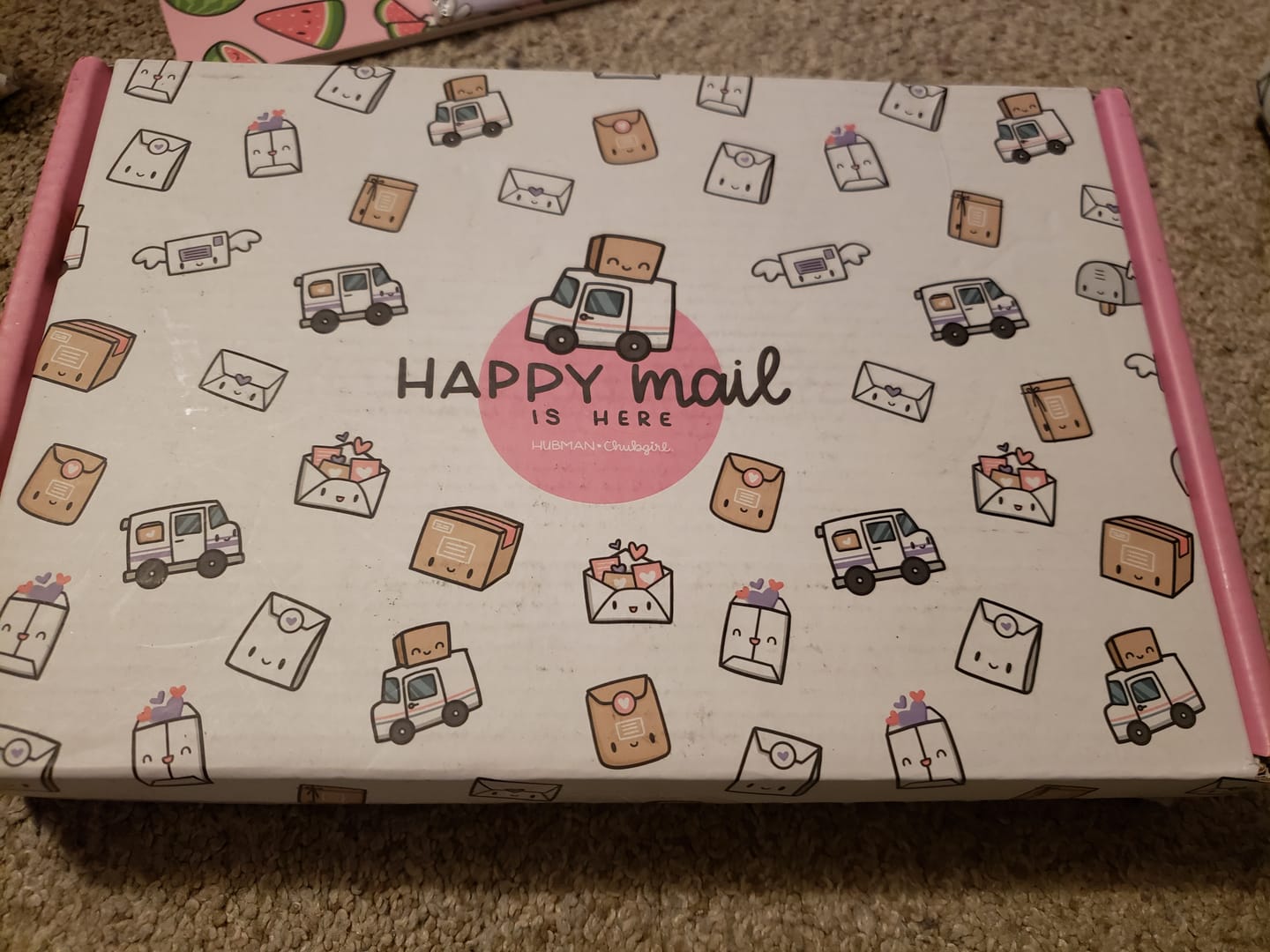 Customer photo review of Stationery Buddies Box Set