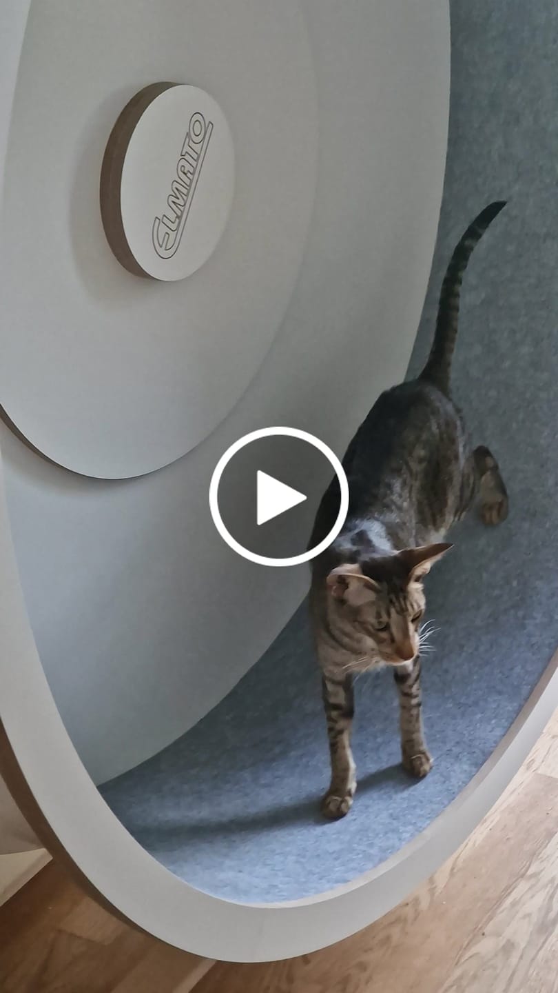 Customer video review of Elmato Katzenlaufrad Rocky Standmodell