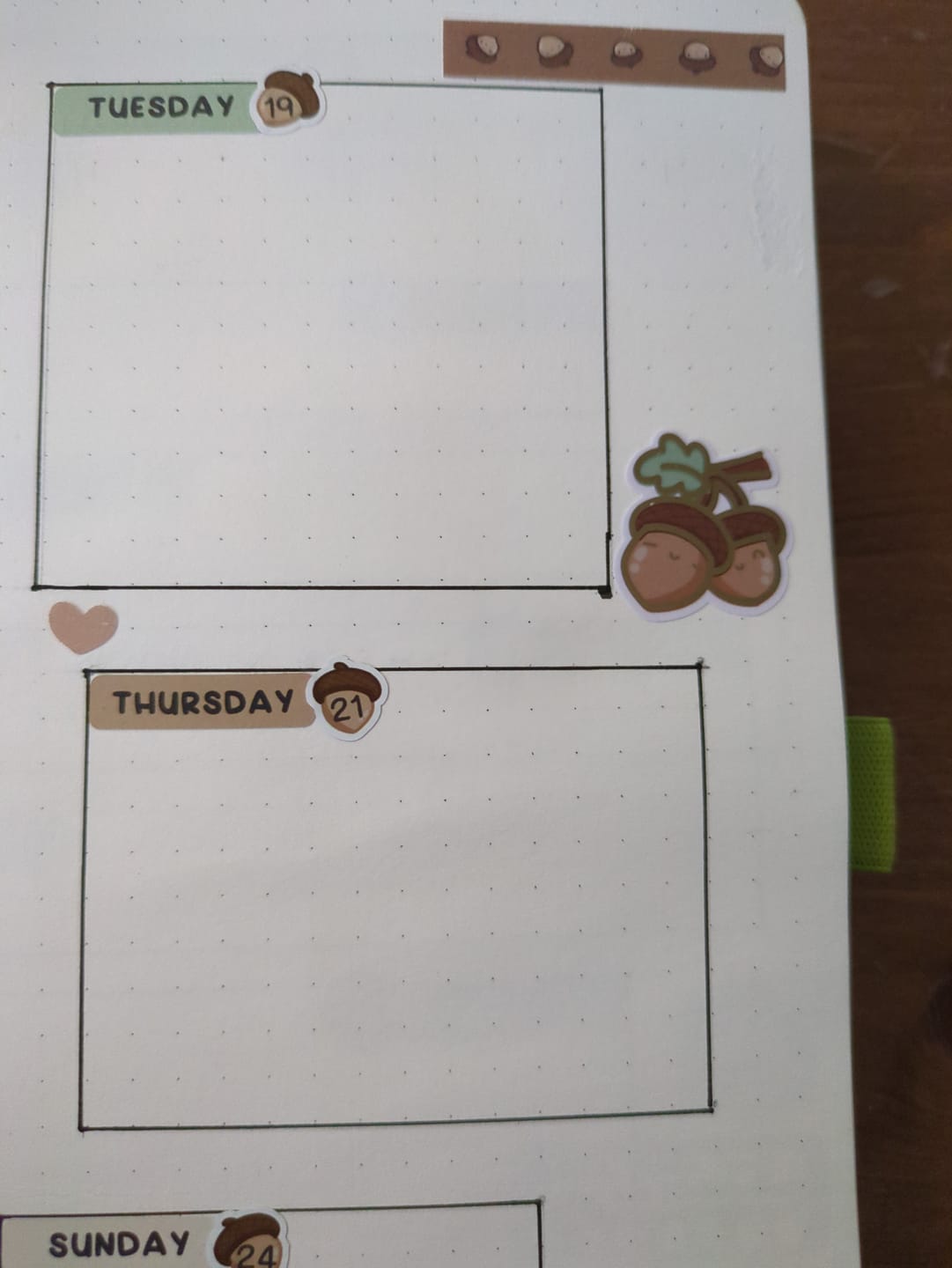 Customer photo review of Days of the Week - Squirrelly Acorn Planner Stickers