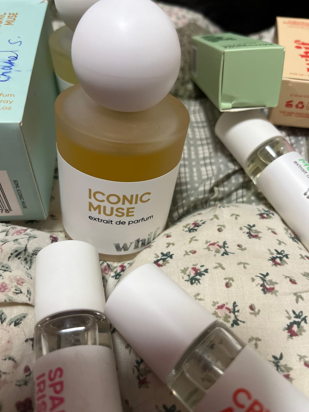 Customer photo review of Iconic Muse