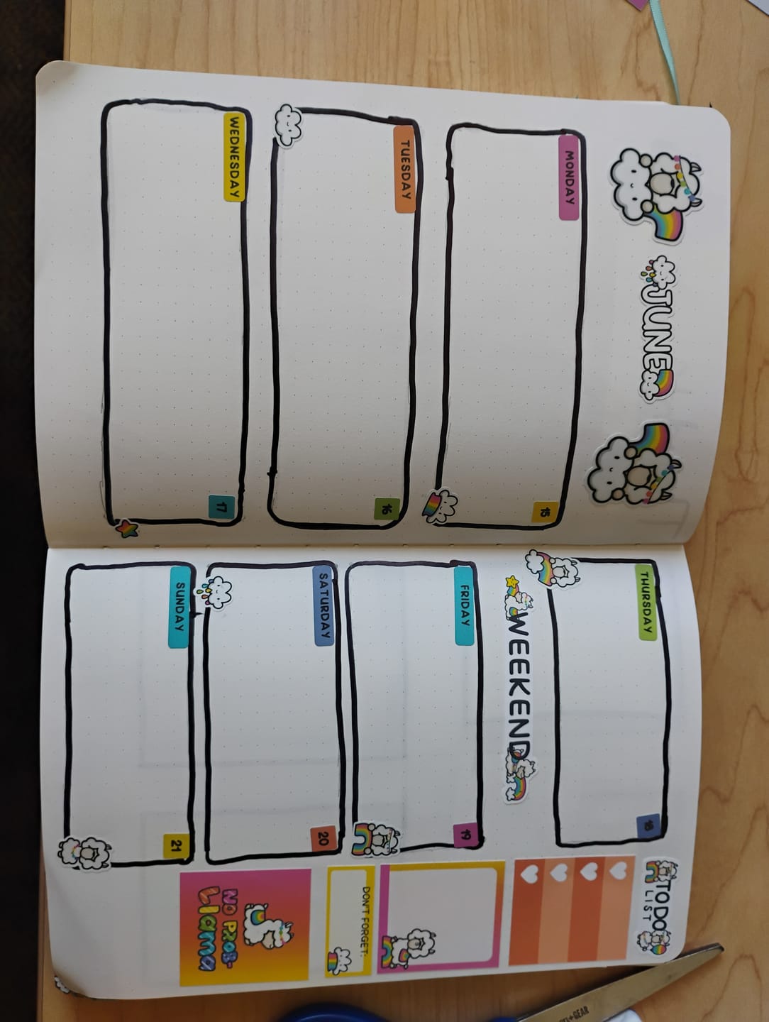 Customer photo review of Journal Subscription