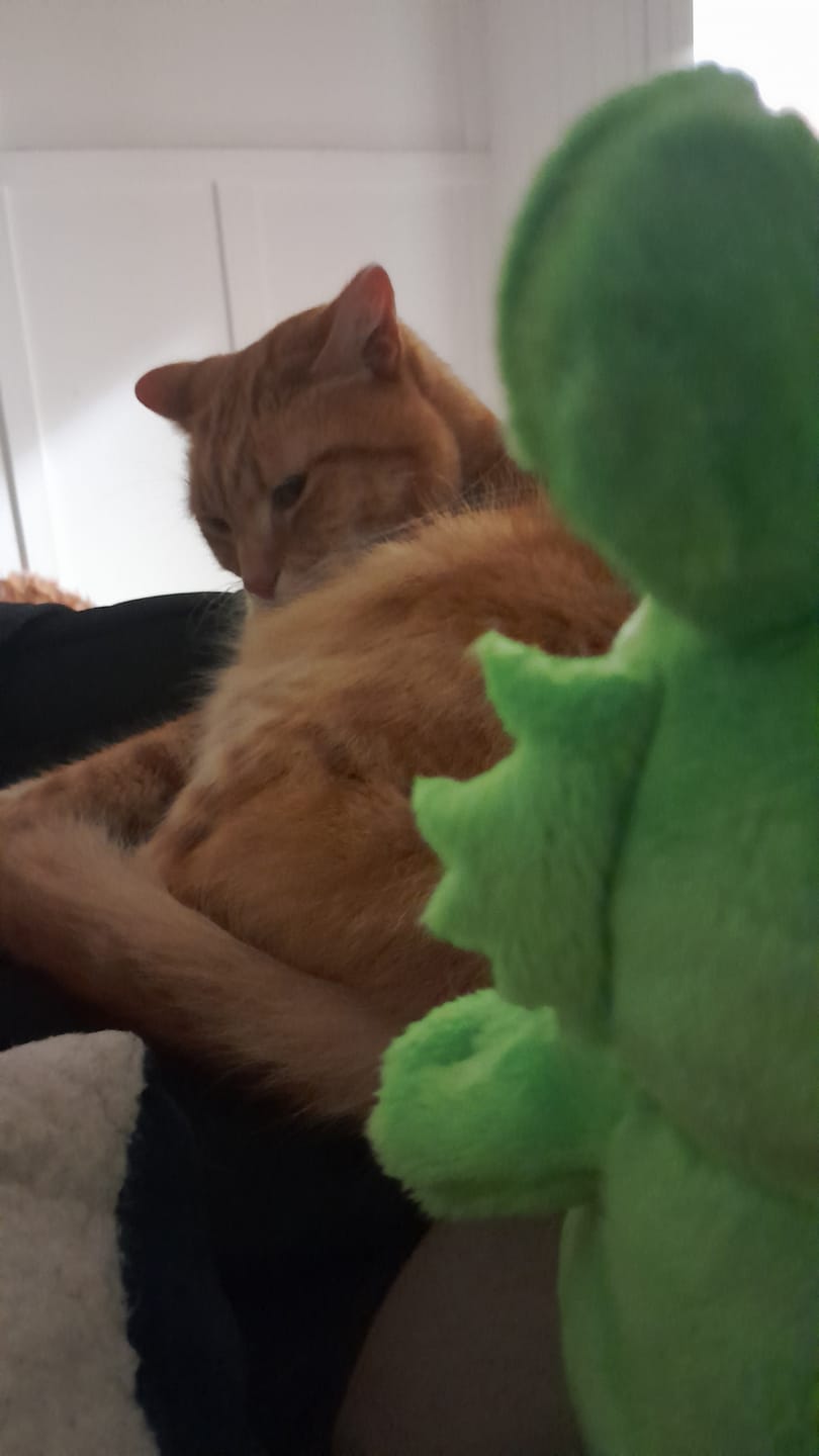 Customer photo review of Rain World - Saint Slugpup Plush