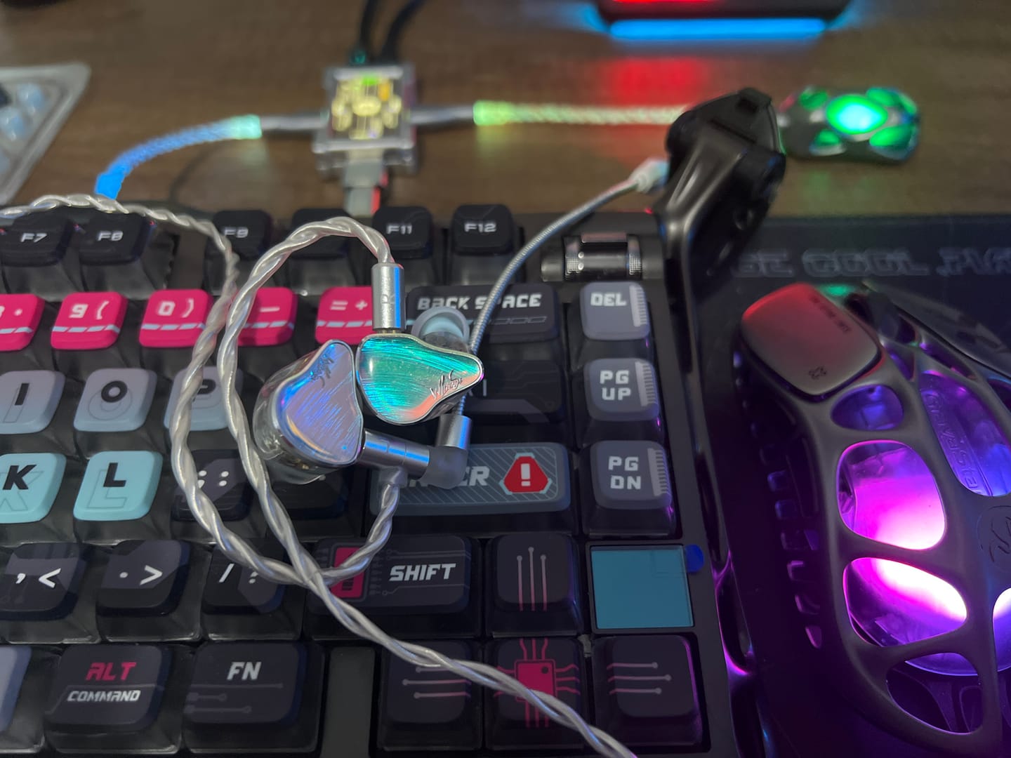 Customer photo review of WLMouse Huan IEM Kulaklık