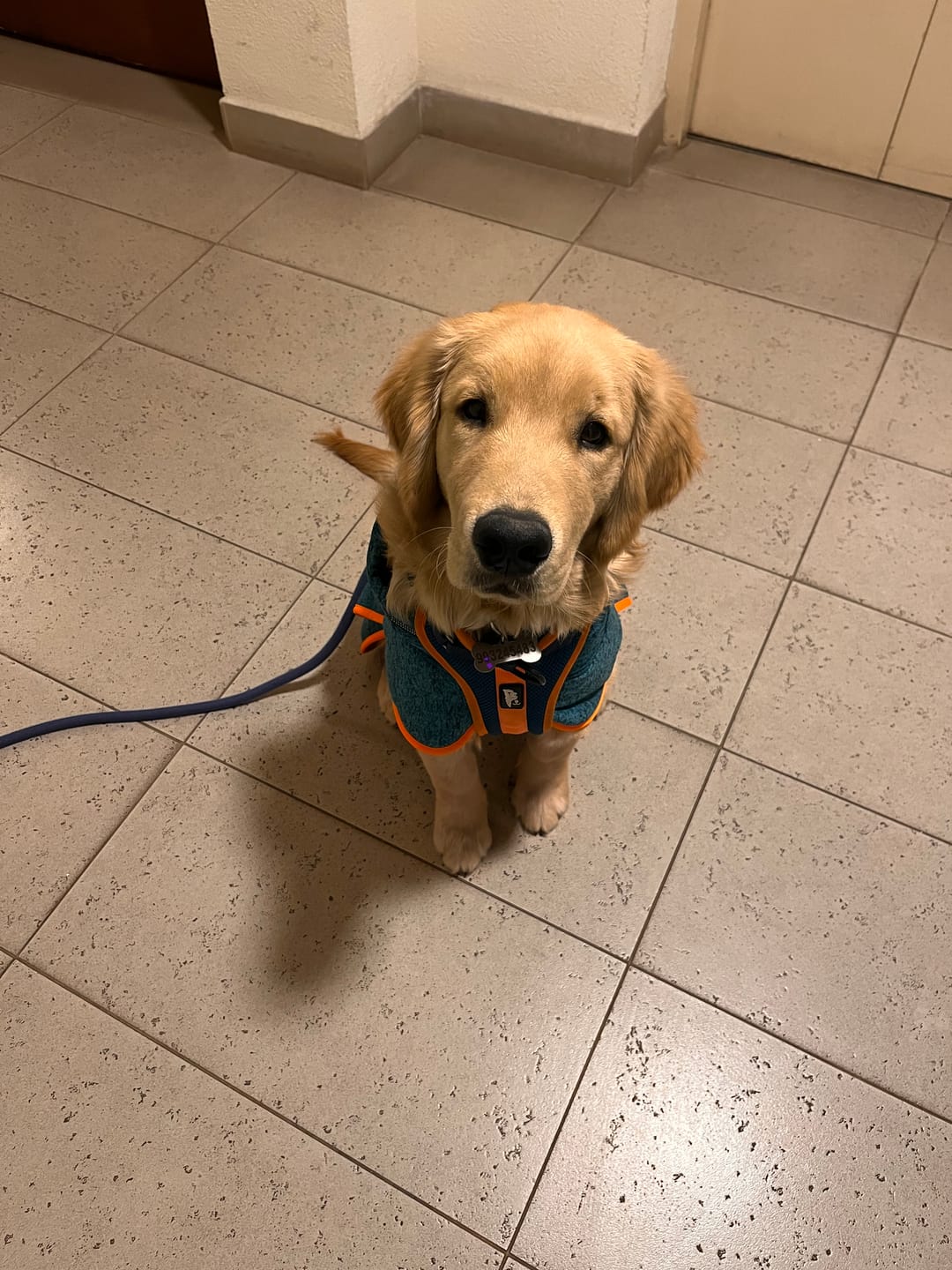 Customer photo review of 🦅Polar Perro Dawson Martin Pescador🦅